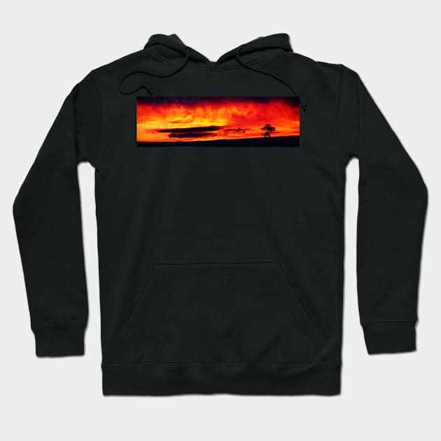 Sky on fire Hoodie by rozmcq